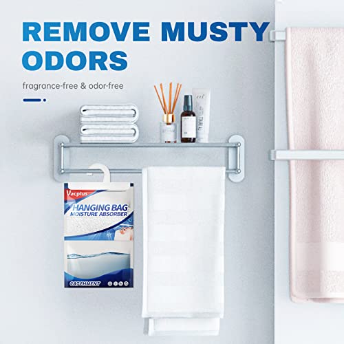 Moisture Absorber (10 Count)