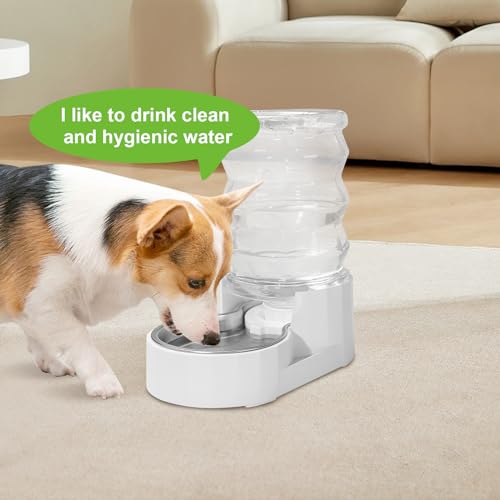 Dog Water Dispenser Filters (4 Count)