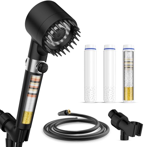 Filtered Shower Head with Handheld