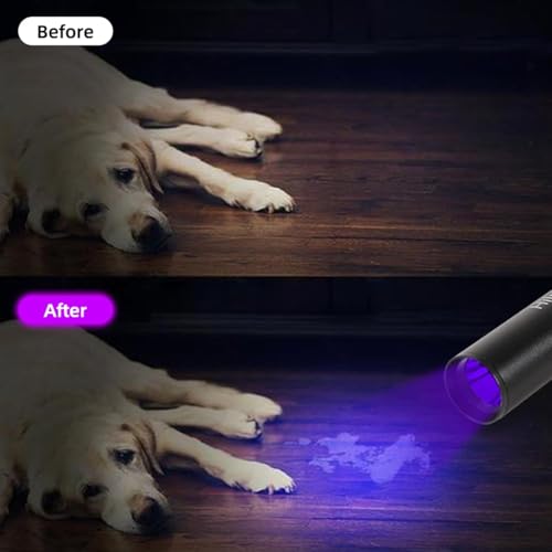10 Pack Rechargeable Black Flashlight Small UV Black Flash Light 395 NM (10 Count)