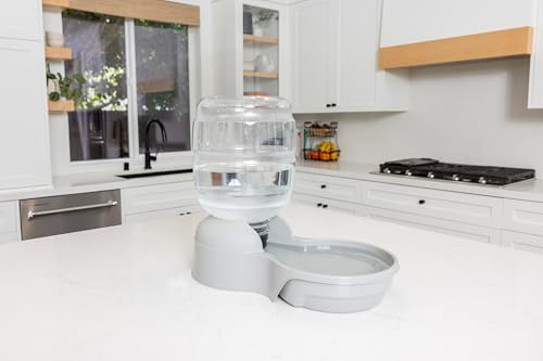 Aspen Pet Lebistro Cat and Dog Water Dispenser