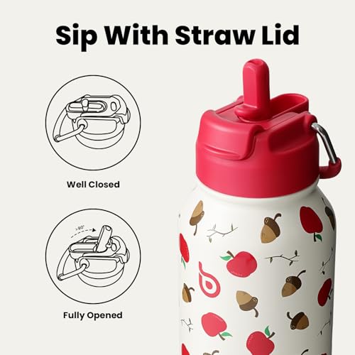 32oz Insulated Water Bottle with Pill Box (32 Count)