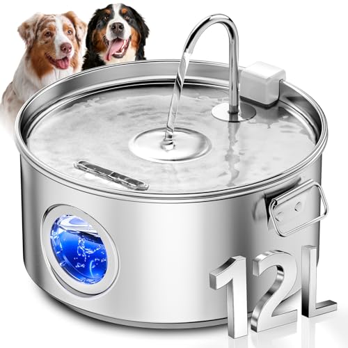 Dog Water Fountain for Large Dogs