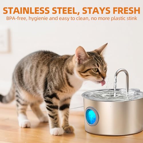 108oz 3.2L Stainless Steel Cat Water Fountain with Detachable Tank