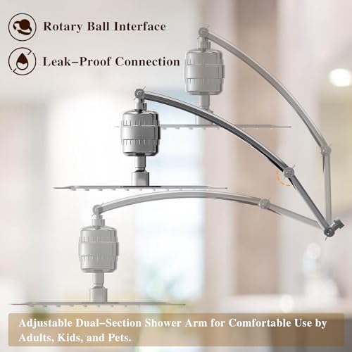 Filtered Shower Head with Adjustable Extension Arm