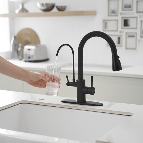 Black Kitchen Faucets with Water Filter and Pull Down Sprayer