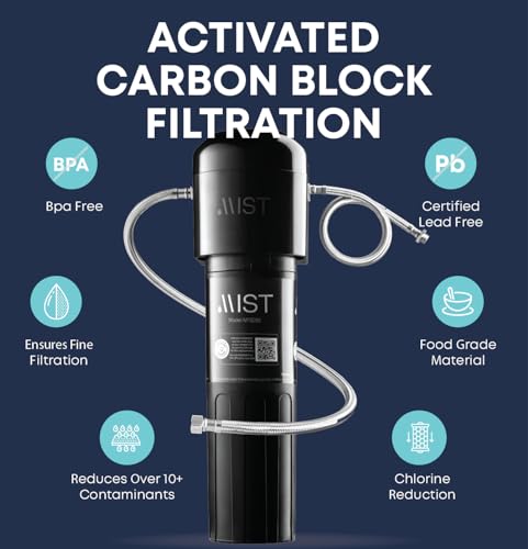 Under Sink Water Filter