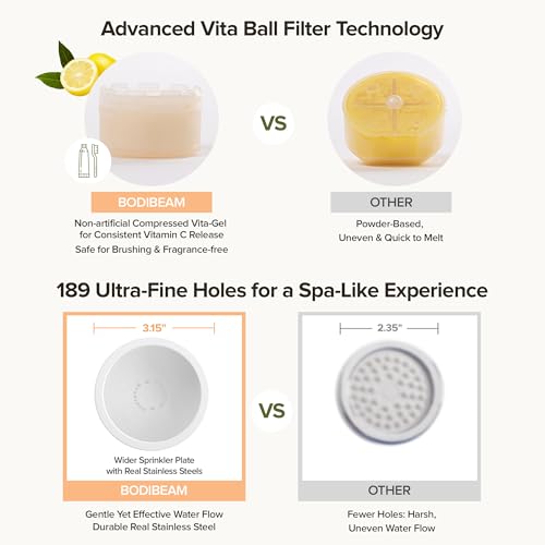 Filtered Handheld Shower Head with Vitamin C (16 Ounce)