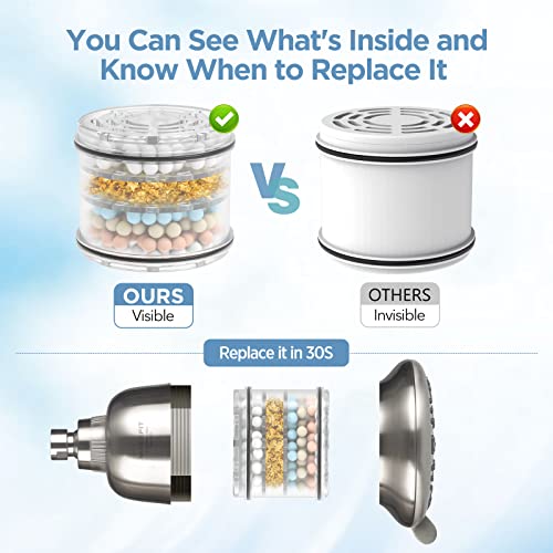 Filtered Shower Head Brushed Nickel