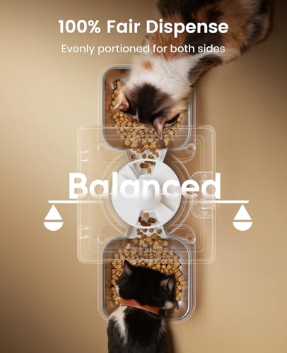 Automatic Cat Feeder for 2 Cats Pets