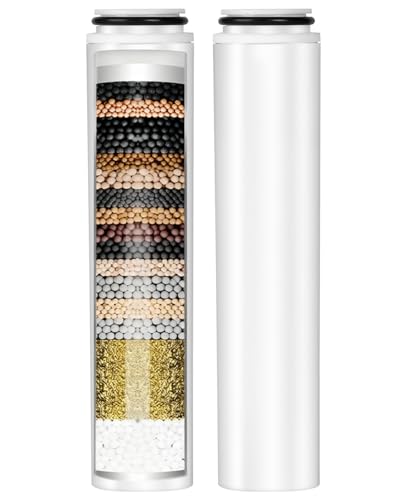 Shower Filter Compatible with Cobbe Handheld Shower Head (2 Count)