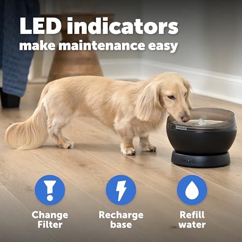 HydroSphere Cordless Pet Fountain Battery Powered Water Fountain for Cats and Small Dogs Stainless Steel Tray Quiet Operation