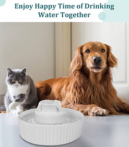 Ceramic Cat Water Fountain