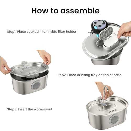 SS 01 Stainless Steel Faucet