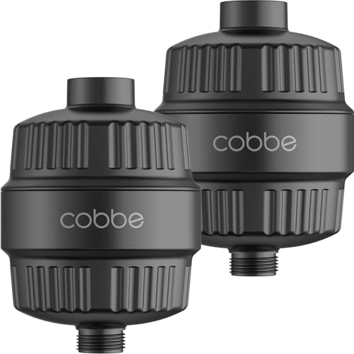 HD HEAVY DUTY High Output Shower Filter 2 Pack (2 Count)
