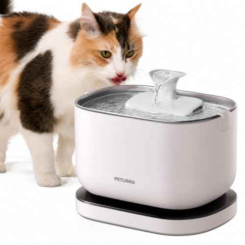 Cat Water Fountain