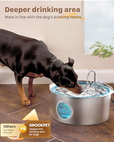 Pet Water Fountain for Large Dogs
