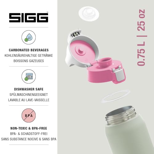 Insulated Water Bottle