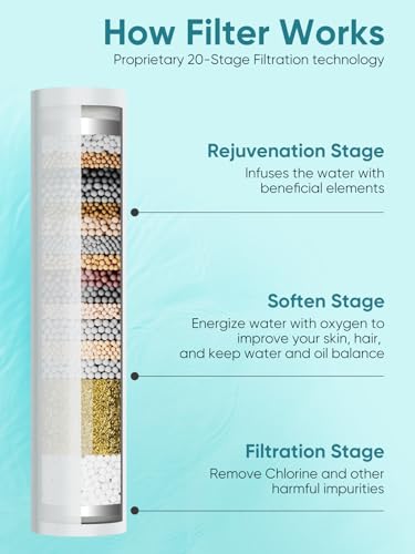 Filtered Shower Head with Handheld