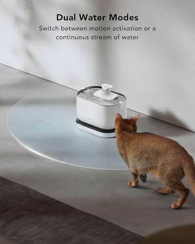 Cordless Cat Water Fountain