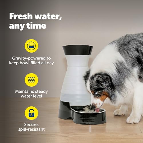Healthy Pet Water Station with Extra 2