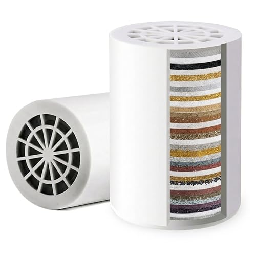 FSF1 33 Stage Shower Filter Replacement Cartridge