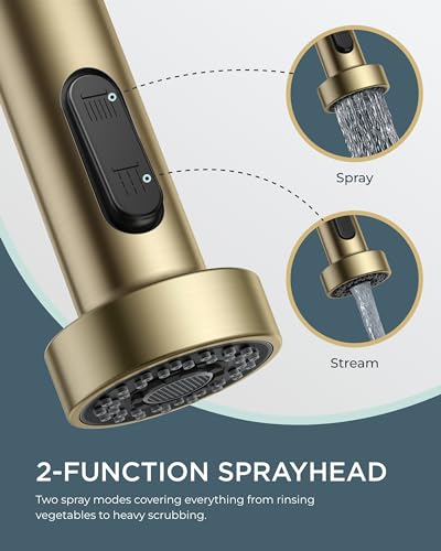 Gold Kitchen Sink Faucet