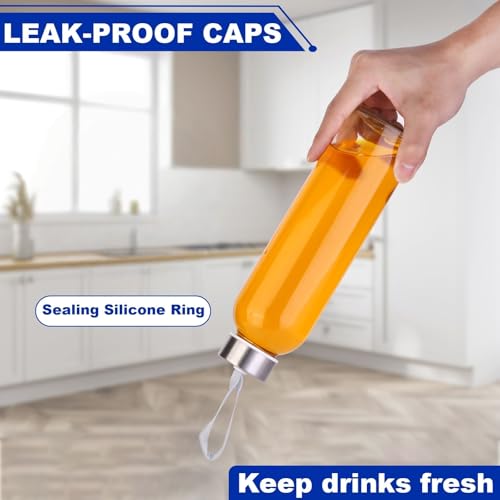 3 Packs Glass Water Bottles with Lid (3 Count)