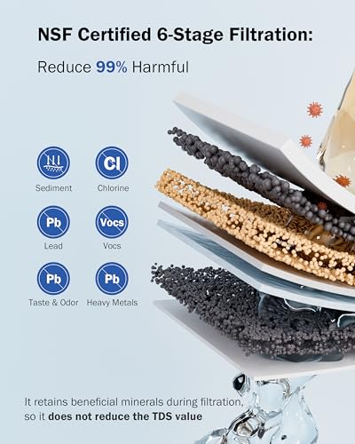 SS99 Countertop Water Filter System