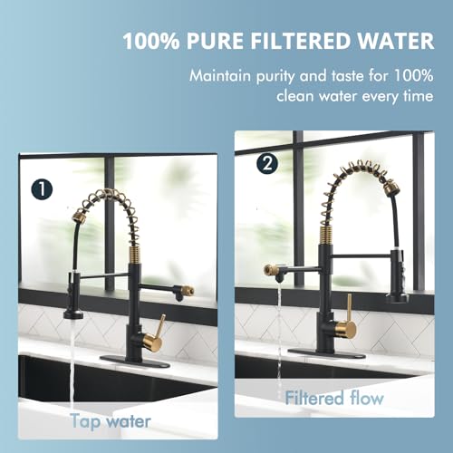 Black and Gold Drinking Water Faucet 3 in 1 Commercial Pull