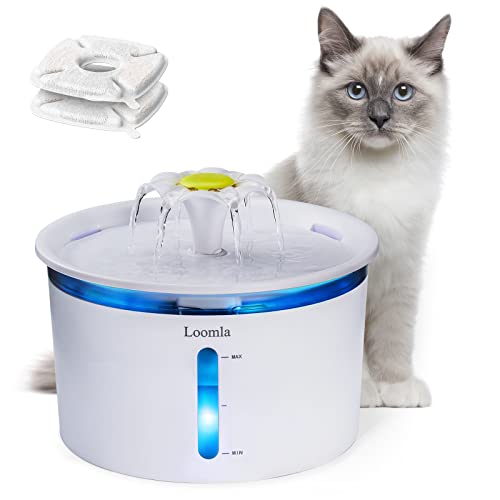 Cat Water Fountain