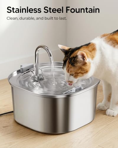 Cat Water Fountain