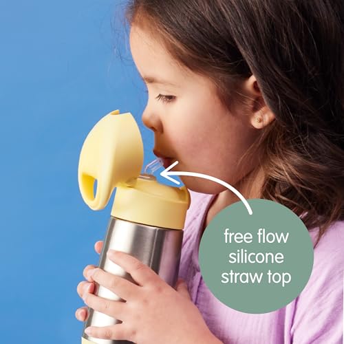 Looney Tunes Insulated Water Bottle for Kids