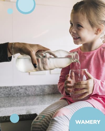 Alkaline Refrigerator Water Filter Replacement