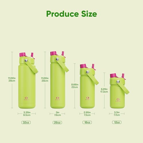Insulated Water Bottle with Straw Stainless Steel Water Bottle