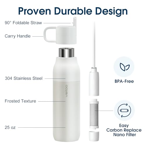 S2 25oz Insulated Stainless Steel Filtered Water Bottle with Straw