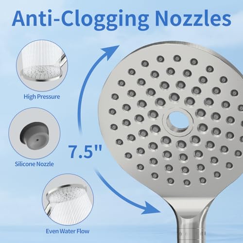 Dual Filtered Shower Heads with Handheld Spray Brushed Nickel