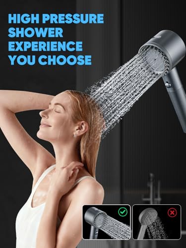Filtered Shower Head with Handheld