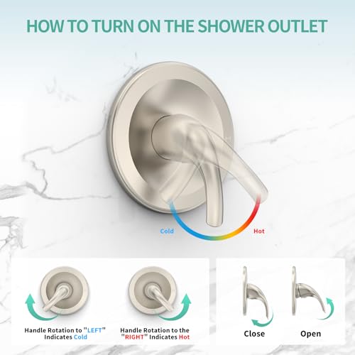 Dual 2 in 1 Shower System with Tub Spout (123.2 Ounce)
