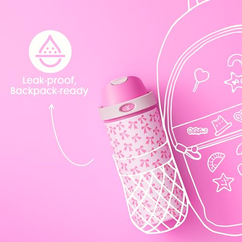 2 Pack 18 oz Insulated Stainledss Steel Water Bottles for Boys Girls (2 Count)