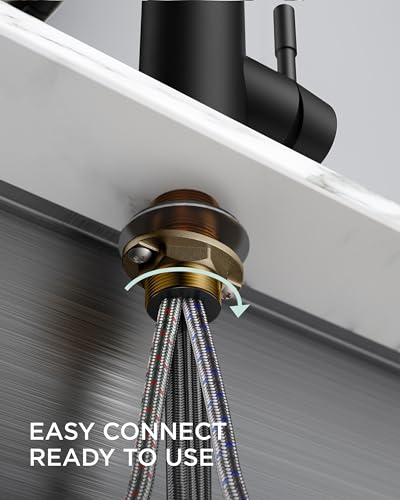Black Kitchen Faucet with LED Light Sprayer