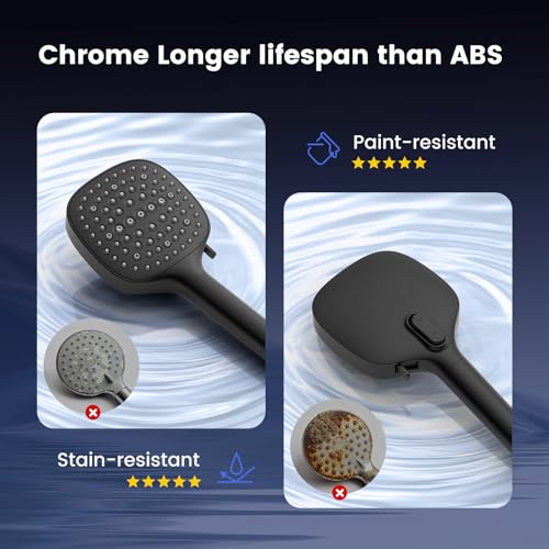 Filtered Shower Head with Handheld