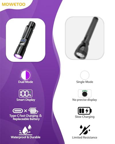 Black Light Flashlight