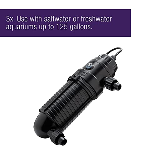 Aquarium Fish Tank Marine Salt Water Turbo