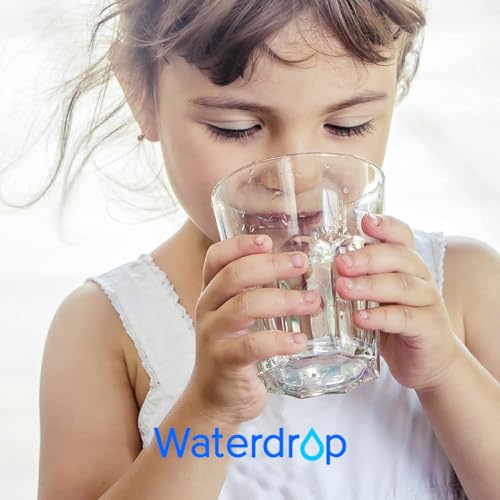 Genuine] Waterdrop PF (3 Count)