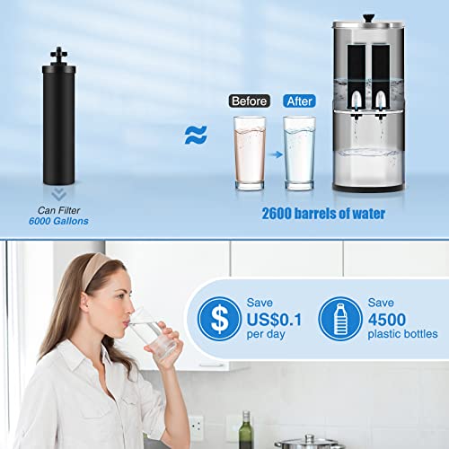Water Filter Replacement Compatible with Berkey