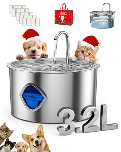 Dog Bowl for Small Dogs