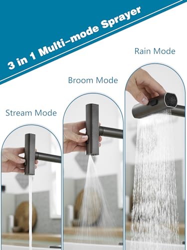 Kitchen Faucets with Pull Down Sprayer