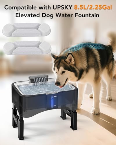 10 Pcs Replacement Filters for 8.5L Elevated Dog Water Fountain
