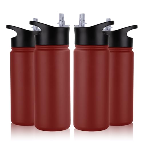 16 oz Insulated Water Bottle Bulk 4 Pack (4 Count)
